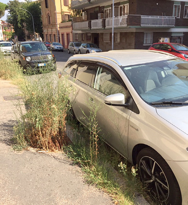 Fig. 4. Cura dello spazio pubblico in una grande città: le foreste urbane che non vorremmo (foto di Pietro Garau).