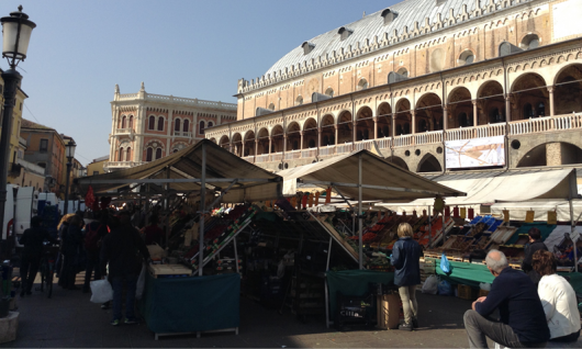 Fig. 1. Piazza delle Erbe, Padova (foto di Carmen Giannino).